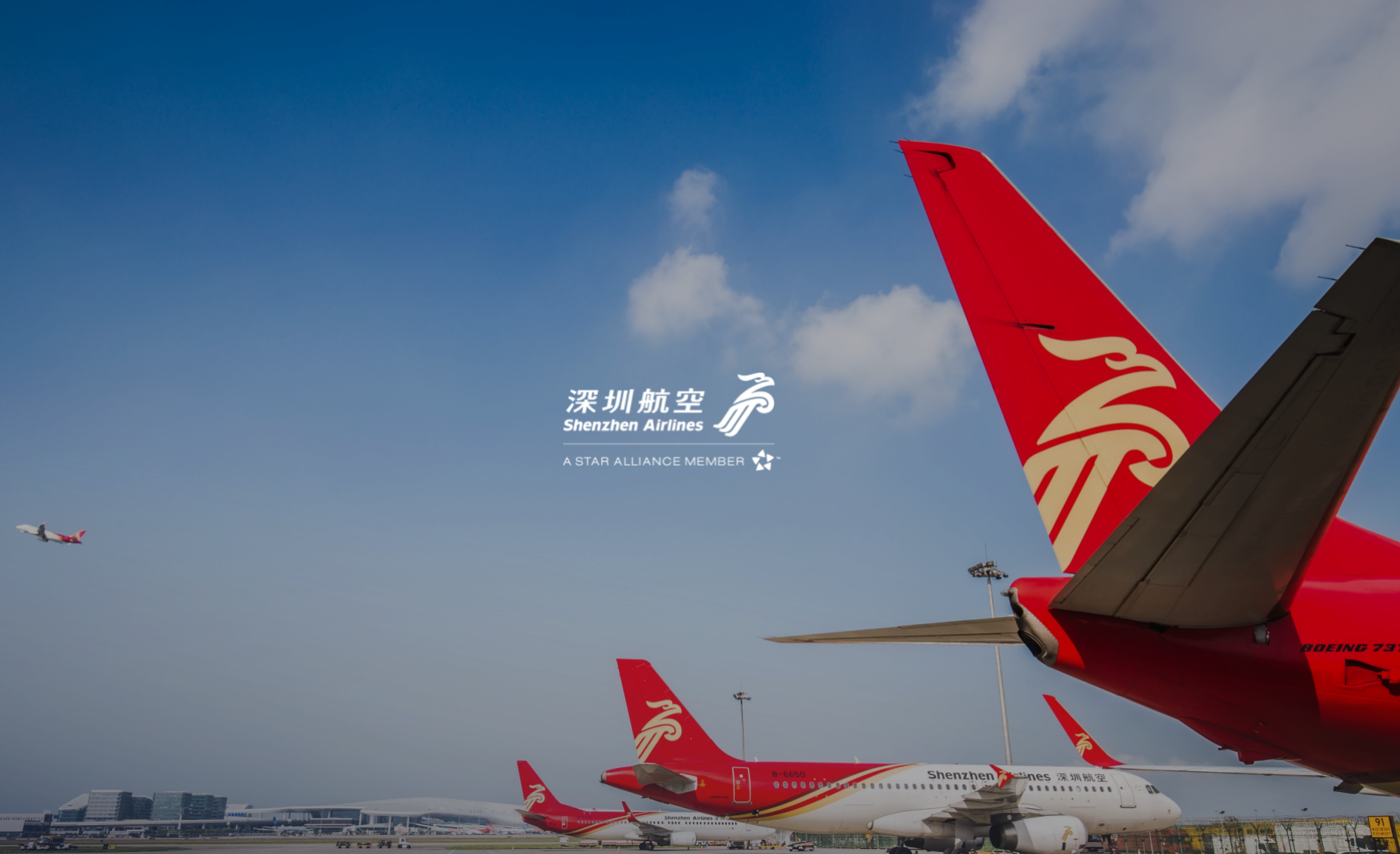 深圳航空品牌战略咨询