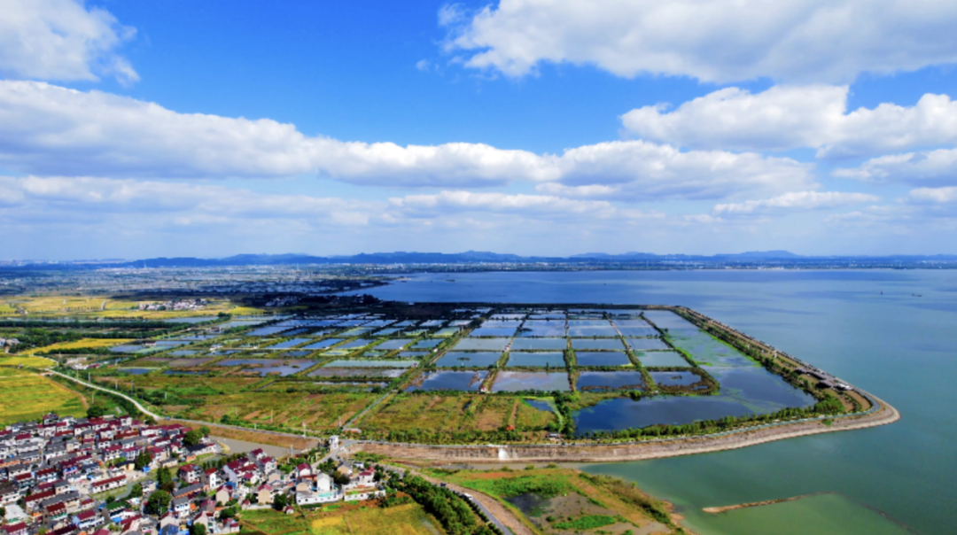 惠州农投集团品牌战略