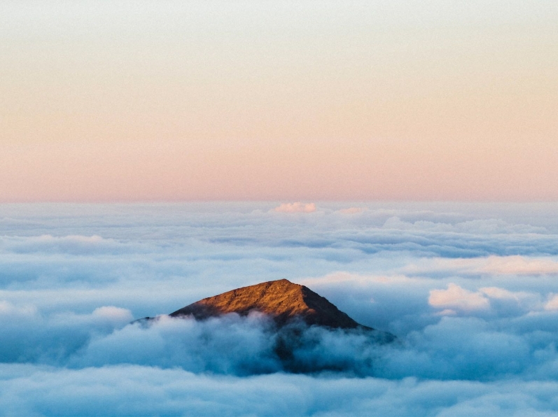 企业品牌战略定位