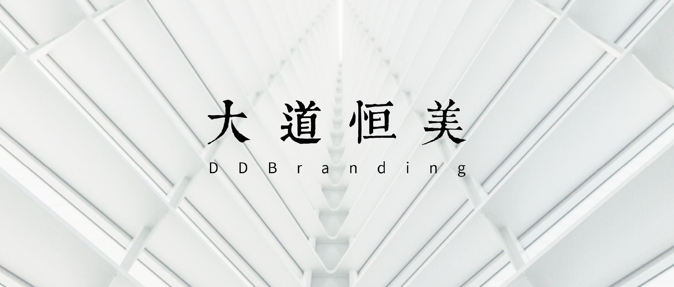 大道恒美品牌管理的「大品牌战略」体系及运用