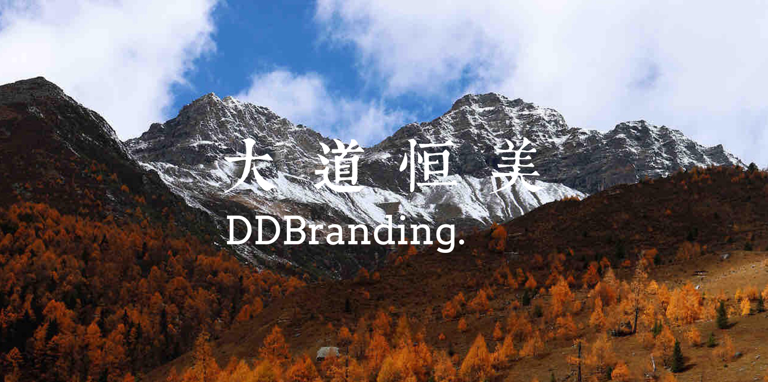 《中共中央 国务院关于推动城市高质量发展的意见》对外发布