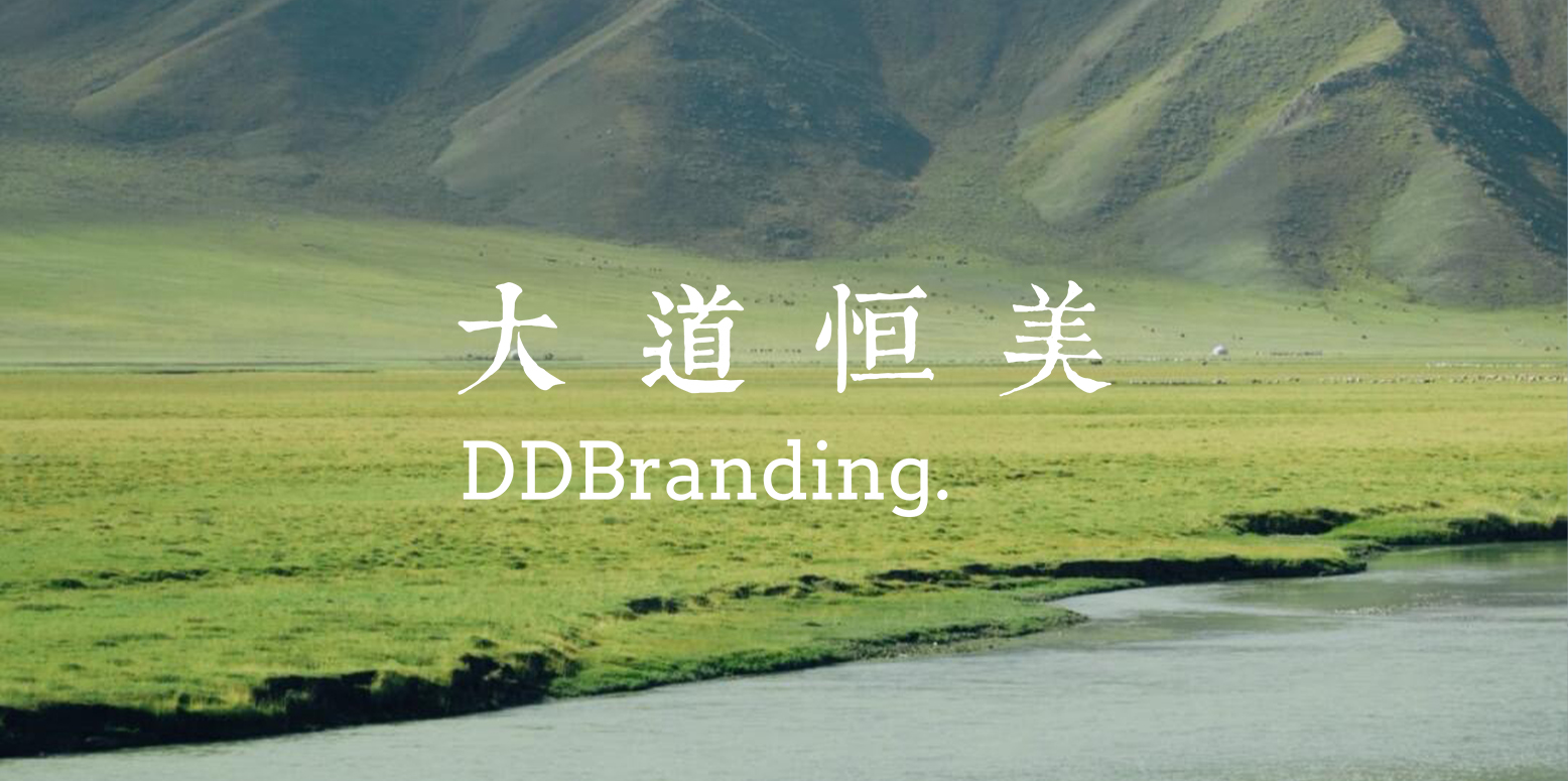 大道恒美：以品牌战略重塑党建空间，创新城市发展新范式