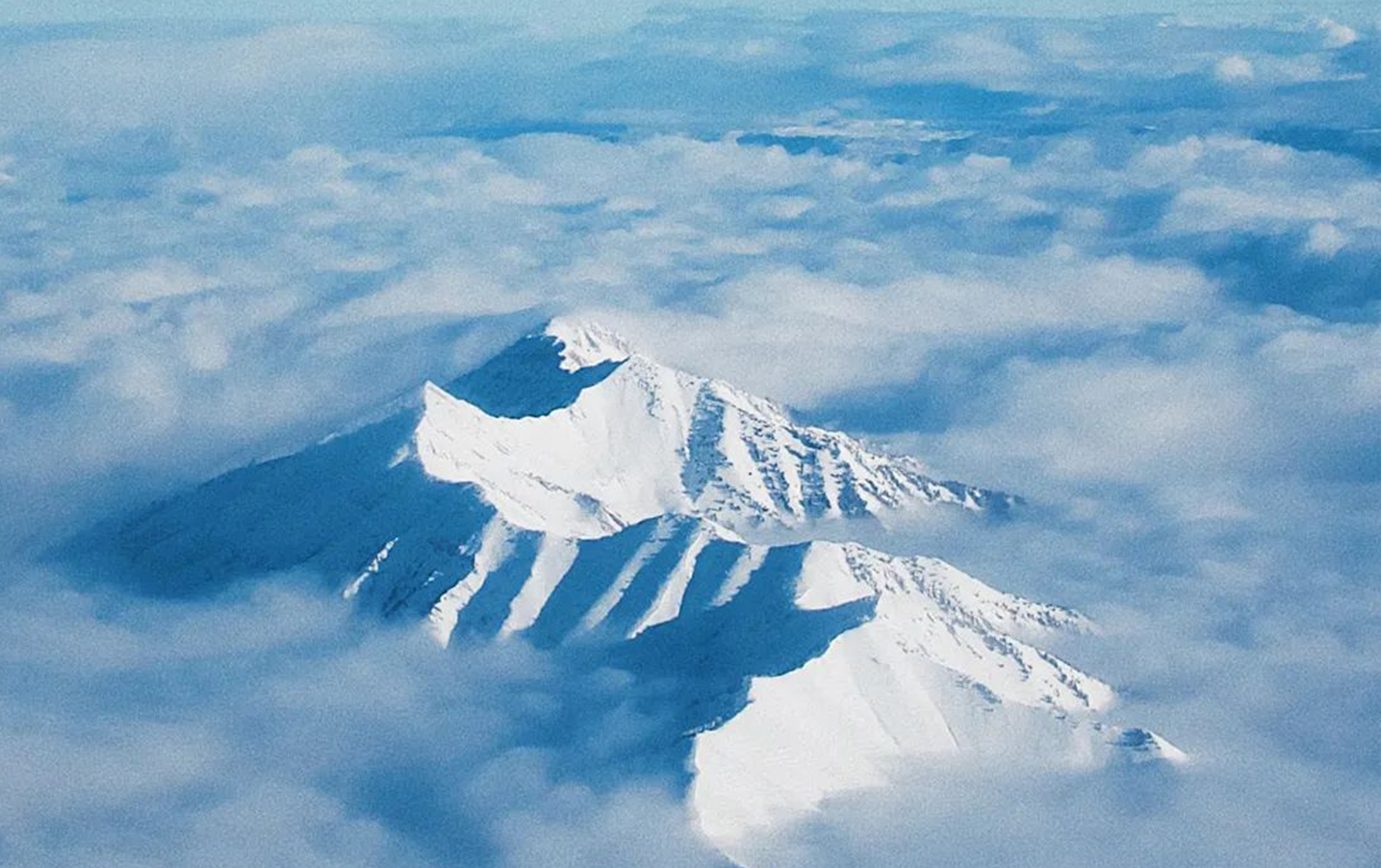 大道恒美直播回顾 | 家具企业如何做品牌？如何做到品效合一？