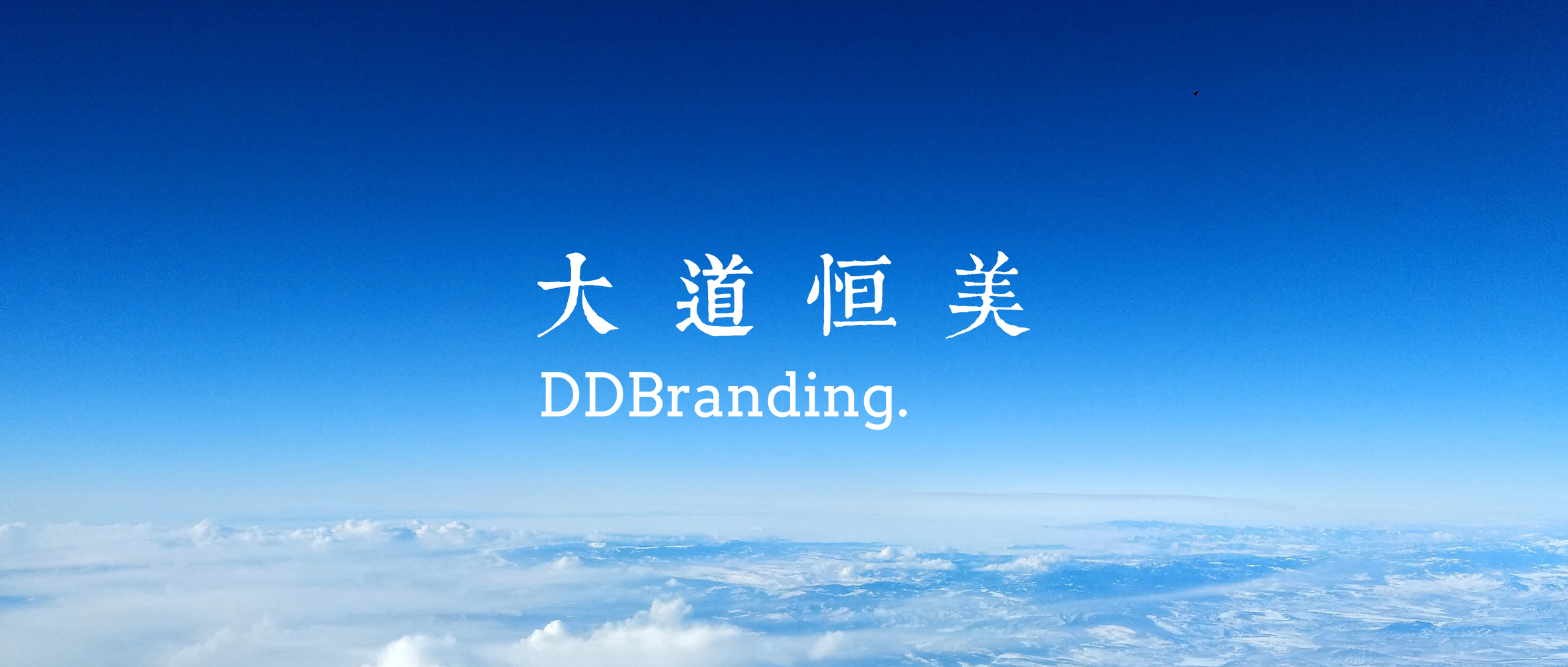 大道恒美品牌管理：大品牌战略构建商业壁垒，驱动亿元级价值增长