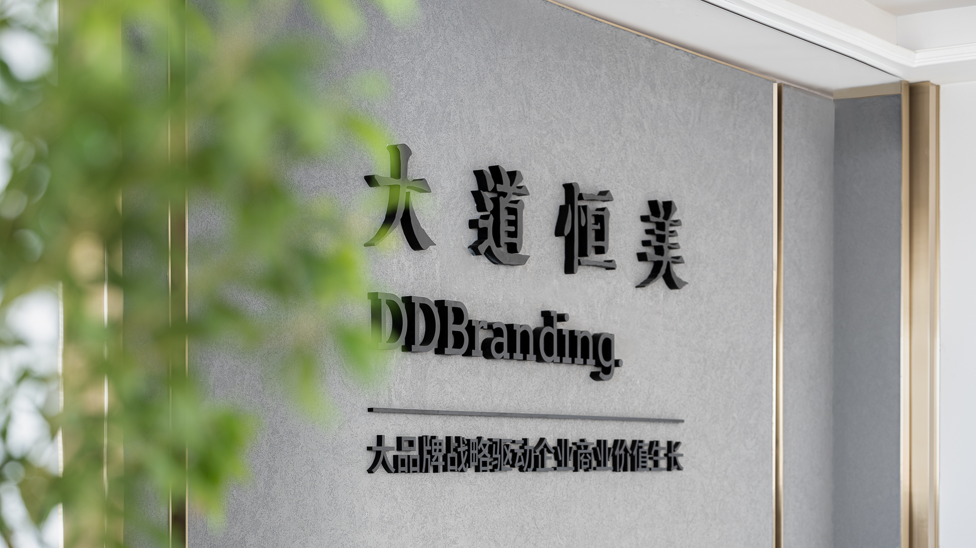 大道恒美品牌管理｜大品牌战略驱动企业商业价值生长