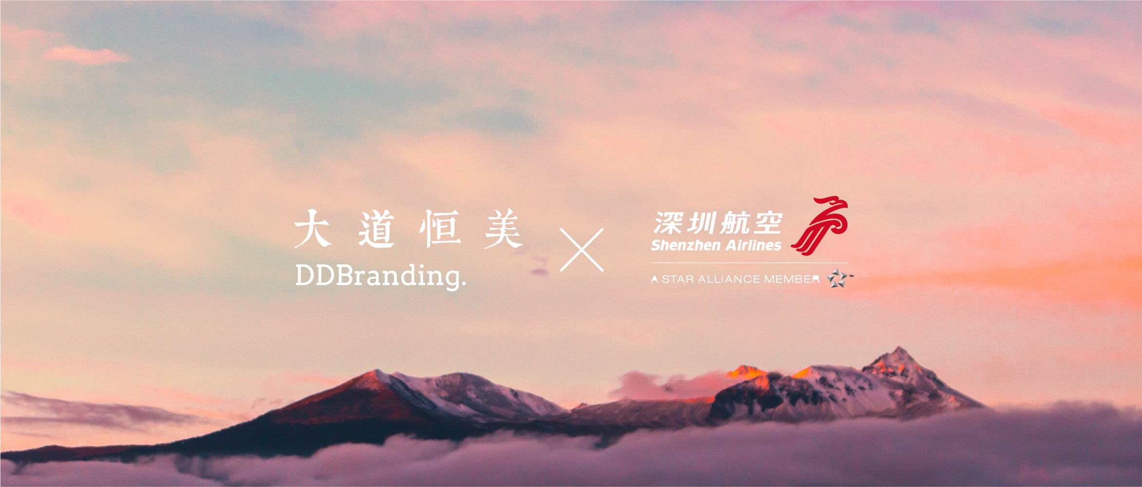 大道恒美荣誉｜深圳文旅形象彩绘飞机“深圳号”荣获2023DNA巴黎奖