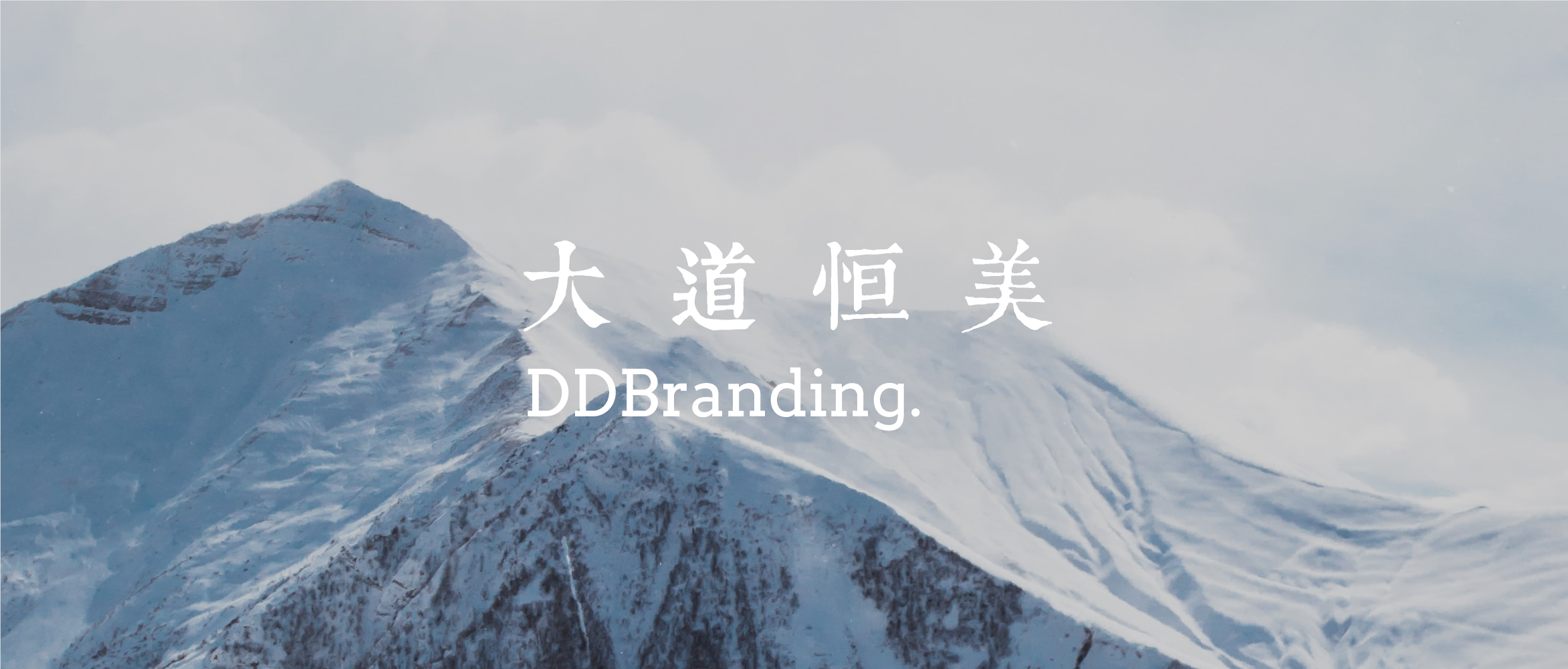 大道恒美品牌管理：大品牌战略驱动企业商业生长