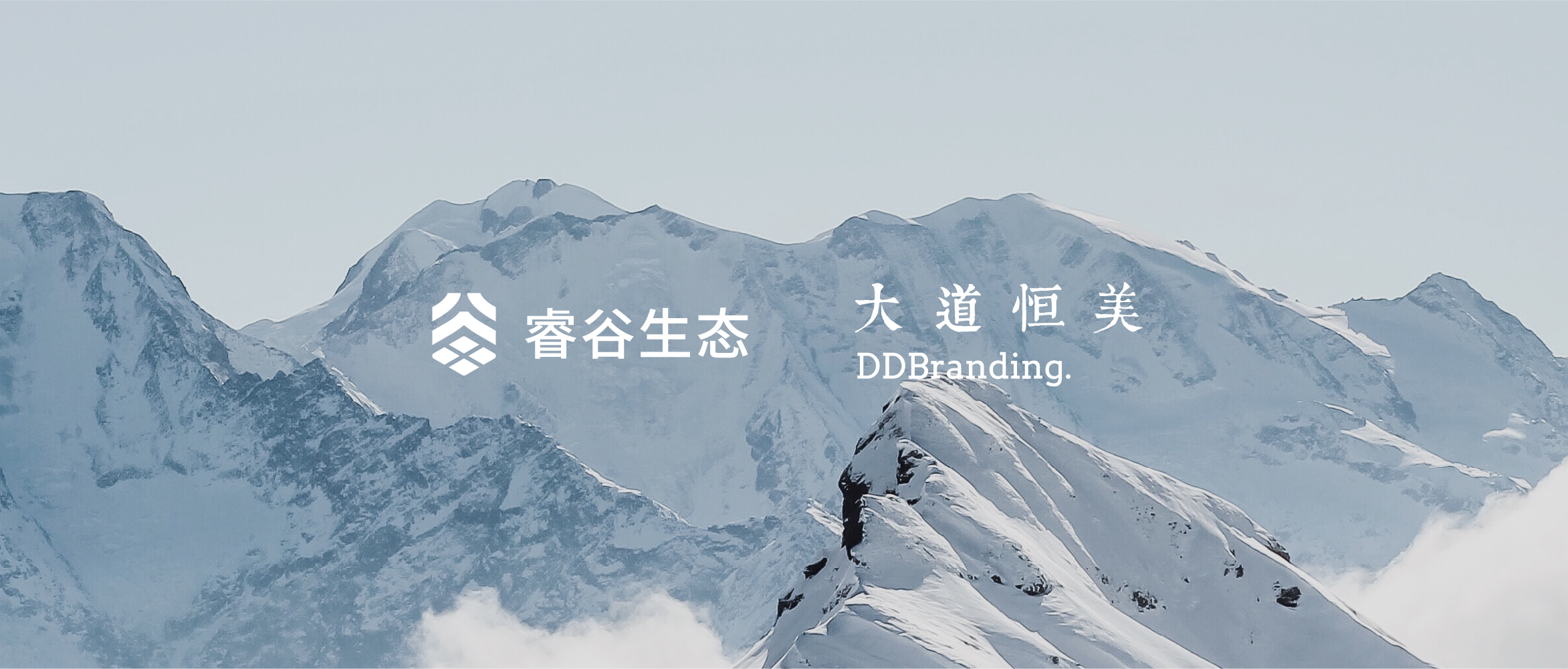 大道恒美荣誉｜睿谷生态品牌创建案例荣获梅花创新奖