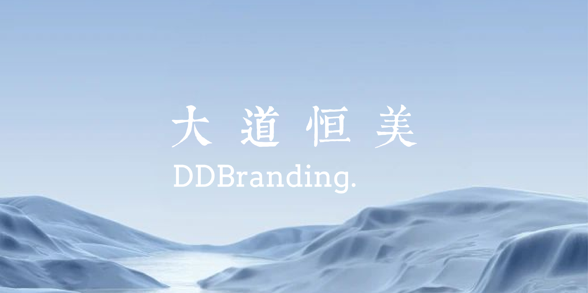 大道恒美品牌战略的核心业务是什么？