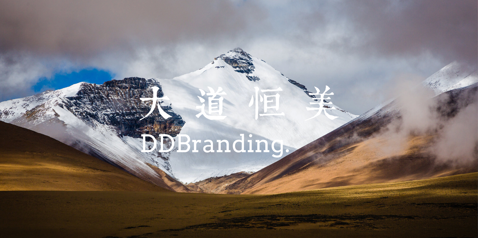 大道恒美五星战略模型助力中国城市更新提质新范式