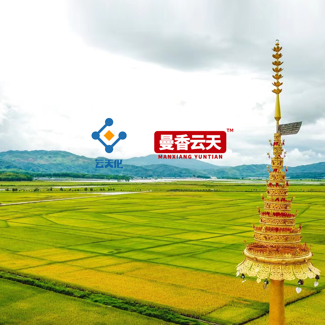 云天化-曼香云天品牌营销创新