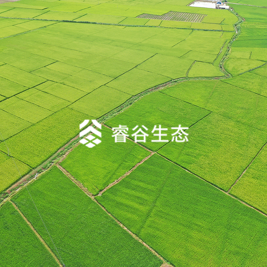 睿谷生态品牌创建及运营